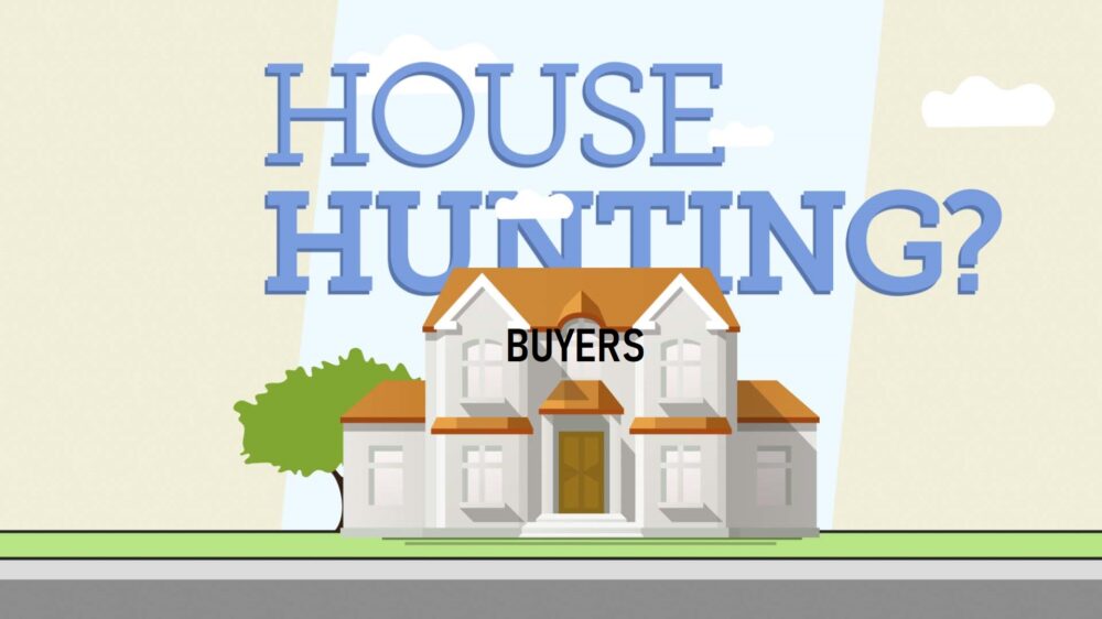 buyers anuboby